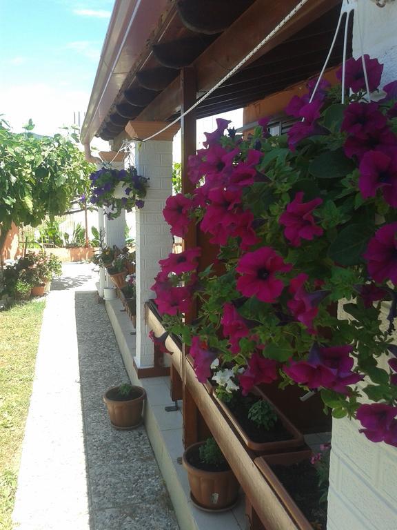 Adriana Saina Apartments Agios Georgios  Værelse billede